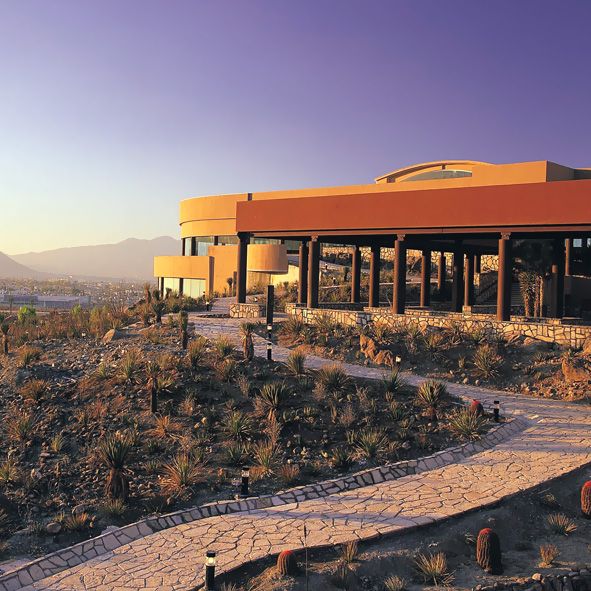 Visitar el Museo del Desierto – SALTILLO, MUSEOS